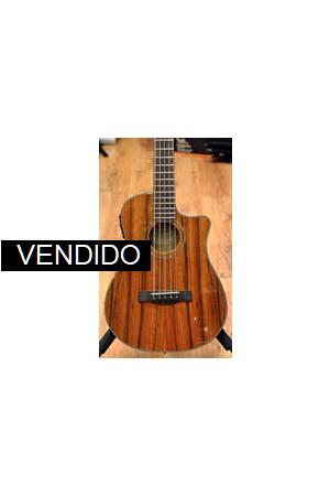 Fender Victor Bailey Acústico 5 Fender Victor Bailey Acústico 5